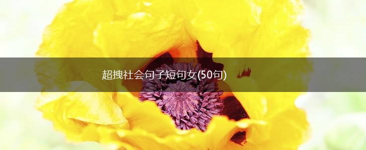 超拽社会句子短句女(50句),第1张