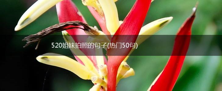520姐妹拍照的句子(热门50句),第1张