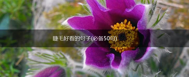 睫毛好看的句子(必备50句),第1张