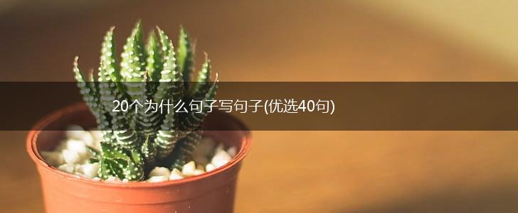 20个为什么句子写句子(优选40句),第1张