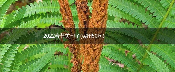 2022春节美句子(实用50句),第1张