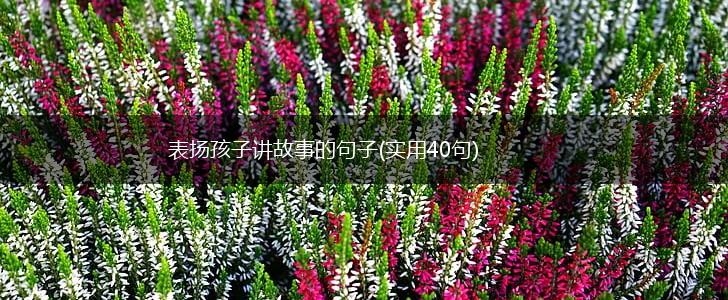 表扬孩子讲故事的句子(实用40句),第1张