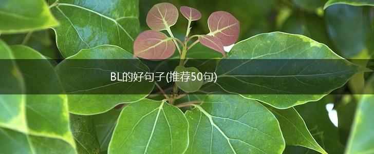 BL的好句子(推荐50句),第1张