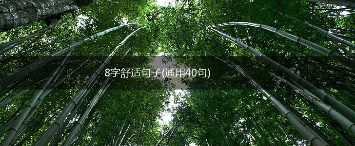 8字舒适句子(通用40句),第1张