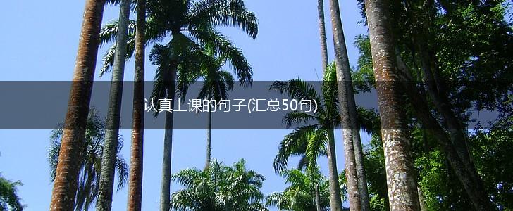 认真上课的句子(汇总50句),第1张