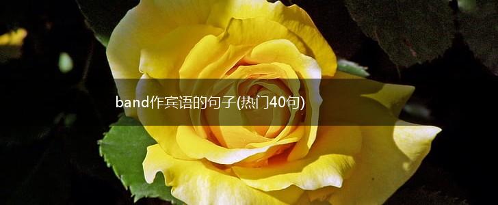 band作宾语的句子(热门40句),第1张