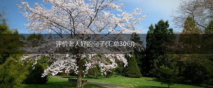 评价老人好的句子(汇总30句),第1张