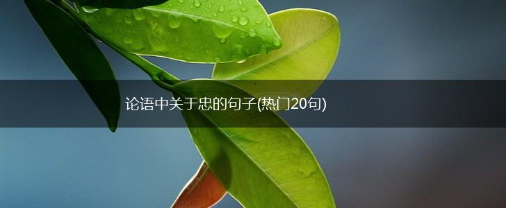 论语中关于忠的句子(热门20句),第1张