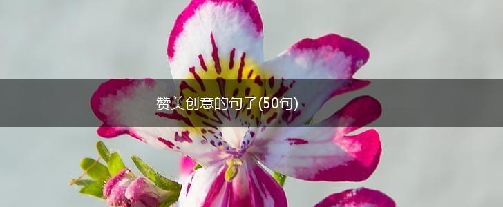 赞美创意的句子(50句),第1张
