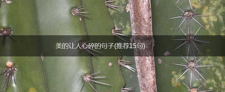 美的让人心碎的句子(推荐15句),第1张
