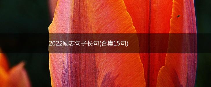 2022励志句子长句(合集15句),第1张