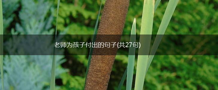 老师为孩子付出的句子(共27句),第1张