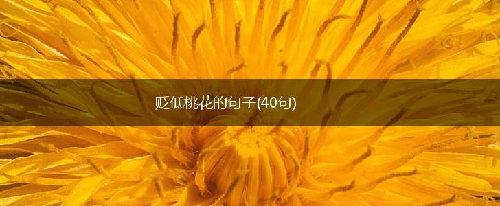 贬低桃花的句子(40句),第1张