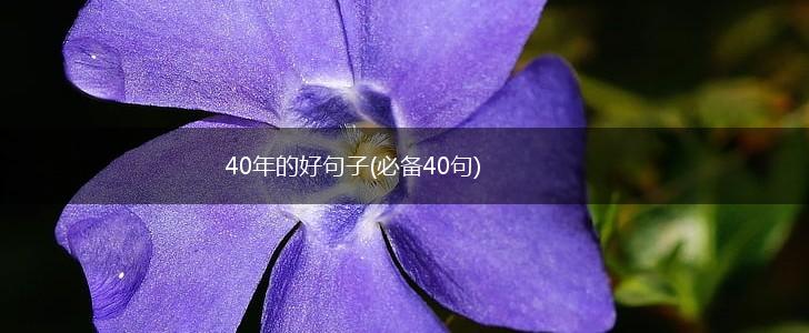40年的好句子(必备40句),第1张