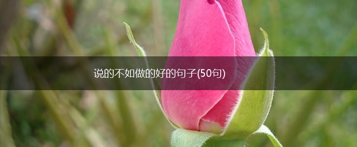 说的不如做的好的句子(50句),第1张