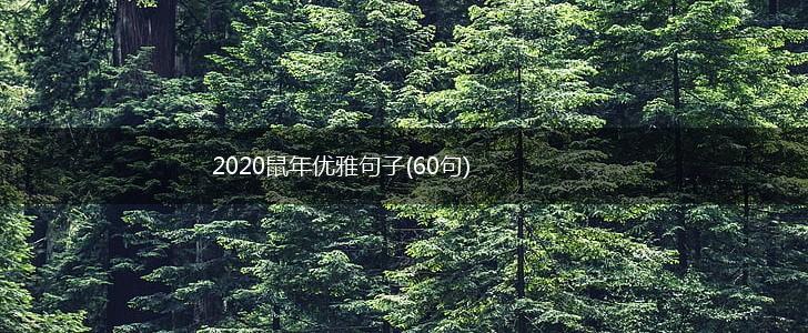 2020鼠年优雅句子(60句),第1张