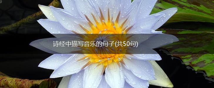 诗经中描写音乐的句子(共50句),第1张
