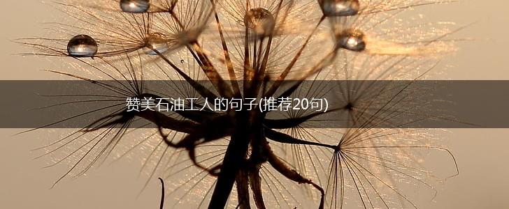 赞美石油工人的句子(推荐20句),第1张
