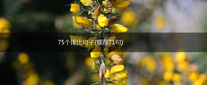 75个排比句子(推荐71句),第1张