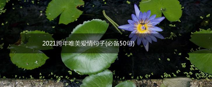 2021跨年唯美爱情句子(必备50句),第1张