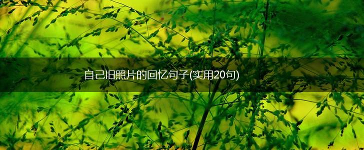 自己旧照片的回忆句子(实用20句),第1张