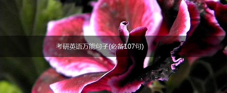 考研英语万能句子(必备107句),第1张