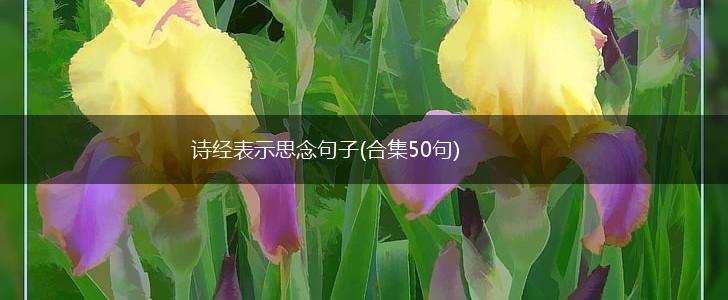 诗经表示思念句子(合集50句),第1张