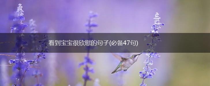 看到宝宝很欣慰的句子(必备47句),第1张