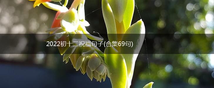 2022初十二祝福句子(合集69句),第1张