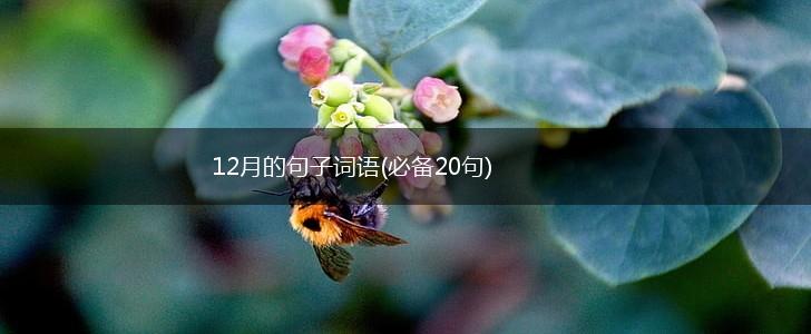 12月的句子词语(必备20句),第1张