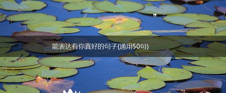 能表达有你真好的句子(通用50句),第1张