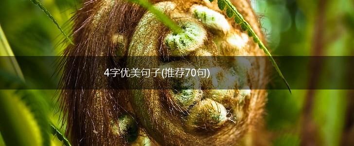 4字优美句子(推荐70句),第1张