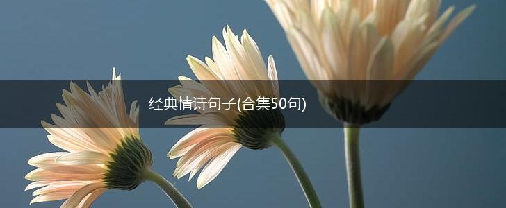 经典情诗句子(合集50句),第1张