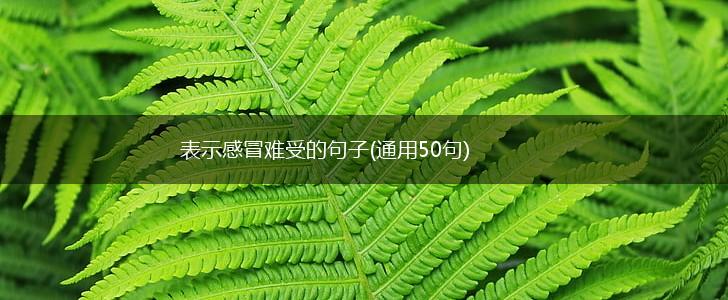 表示感冒难受的句子(通用50句),第1张
