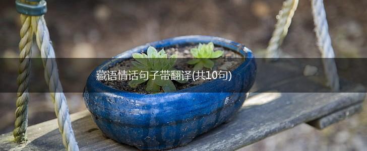 藏语情话句子带翻译(共10句),第1张