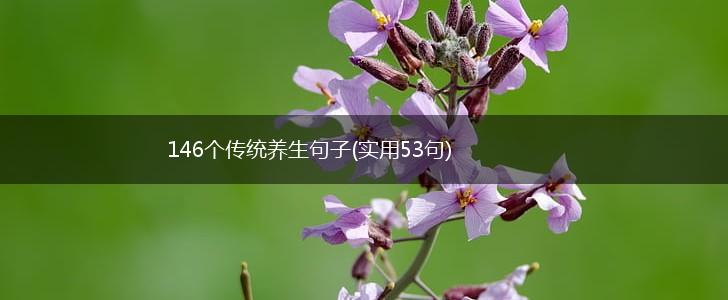 146个传统养生句子(实用53句),第1张