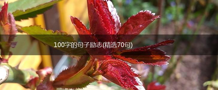 100字的句子励志(精选70句),第1张