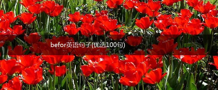 befor英语句子(优选100句),第1张
