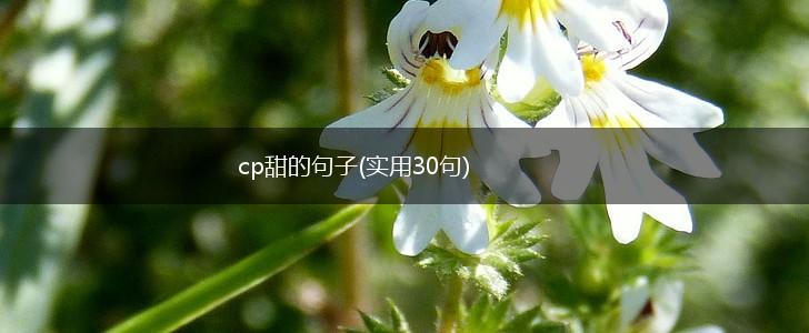 cp甜的句子(实用30句),第1张