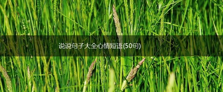 说说句子大全心情短语(50句),第1张