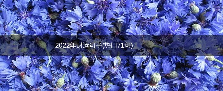 2022年财运句子(热门71句),第1张