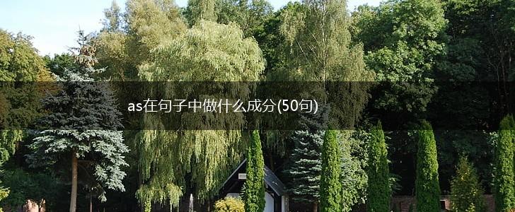 as在句子中做什么成分(50句),第1张