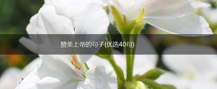 赞美上帝的句子(优选40句),第1张