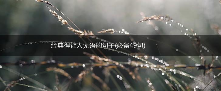 经典得让人无语的句子(必备49句),第1张