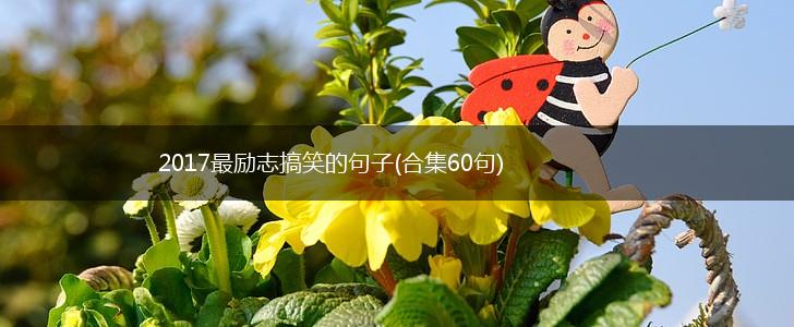 2017最励志搞笑的句子(合集60句),第1张