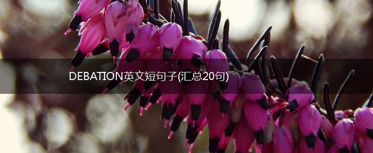 DEBATION英文短句子(汇总20句),第1张