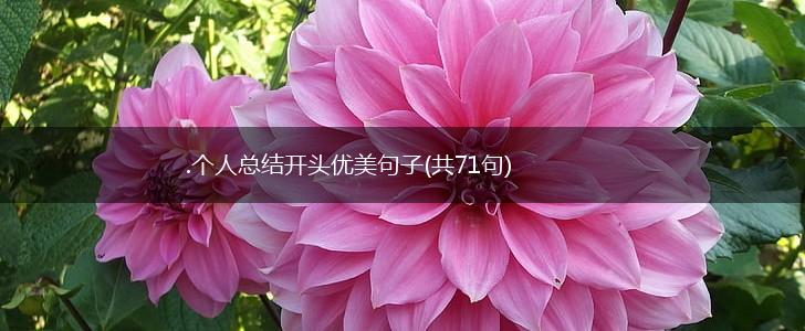 .个人总结开头优美句子(共71句),第1张