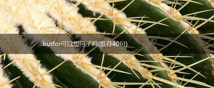 butfor可以加句子吗(推荐40句),第1张