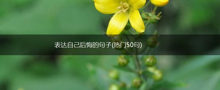 表达自己后悔的句子(热门50句),第1张
