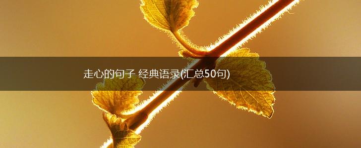 走心的句子 经典语录(汇总50句),第1张